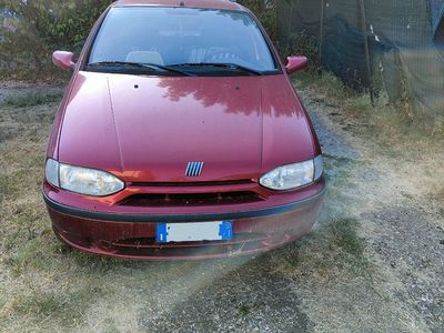 usata Fiat Palio perfetta