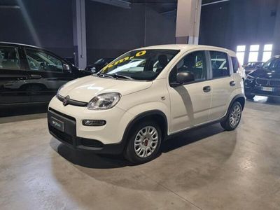 usata Fiat Panda Hybrid 1.0 70cv