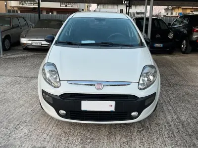 Usata Fiat Punto Evo S 75 CV (55 kW) 2011 Bianco Utilitaria