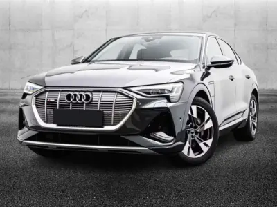 Usata Audi e-tron