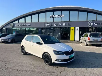 Usata Skoda Fabia