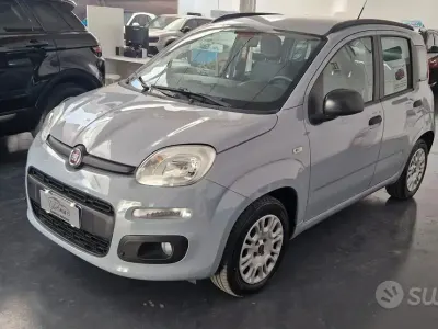 Usata Fiat Panda Easy 69 CV (50 kW) 2019 Grigio Utilitaria