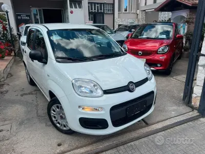 Usata Fiat Panda Easy 69 CV (50 kW) 2020 Bianco Utilitaria