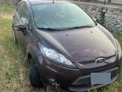 Usata Ford Fiesta