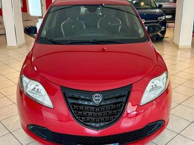 usata Lancia Ypsilon 1.2 69 CV 5 porte Elefantino