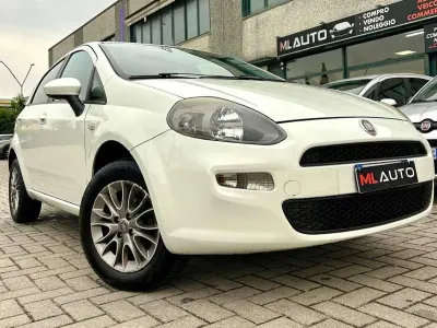 Usata Fiat Punto Lounge 69 CV (50 kW) 2015 Bianco Utilitaria