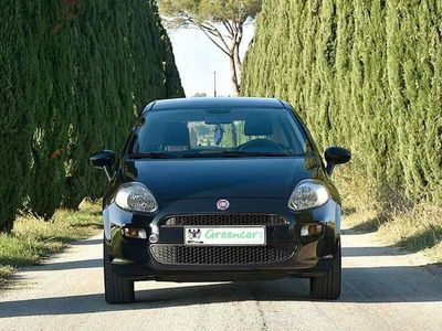 usata Fiat Punto 1.4 8V 5 porte Natural Power Lounge Neo