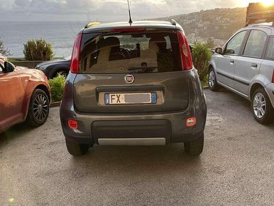 Usata Fiat Panda 4x4 S 86 CV (63 kW) 2019 Grigio Utilitaria
