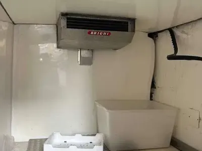 Usata Renault Trafic
