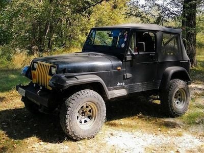 Usata Jeep Wrangler 120 CV (88 kW) 1998 SUV