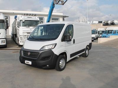 Usata Fiat Ducato 119 CV (87 kW) 2020 Bianco Furgone