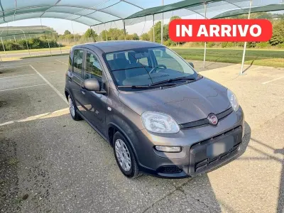 Usata Fiat Panda Red 71 CV (52 kW) 2022 Grigio Utilitaria