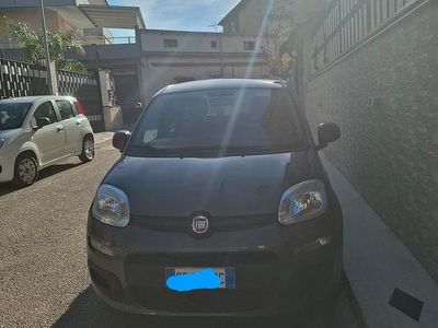 Usata Fiat Panda 2020 Grigio Berlina