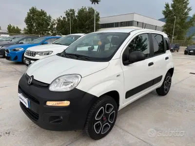 Usata Fiat Panda 4x4 85 CV (62 kW) 2021 Bianco Utilitaria