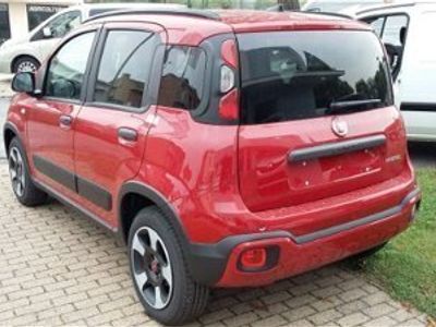 usata Fiat Panda Cross Cross 1.0 FireFly S&S Hybrid nuovo