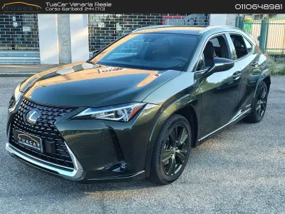 Usata Lexus UX 250h