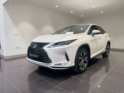 Usata Lexus RX450h Executive Line 262 CV (192 kW) 2019 Bianco perla SUV