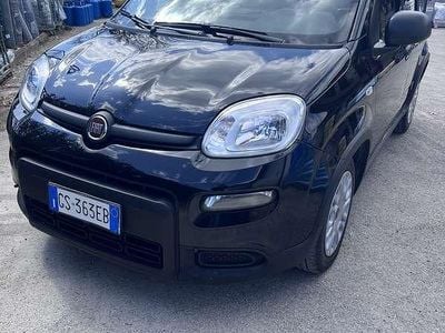 Usata Fiat Panda 69 CV (50 kW) 2022 Utilitaria