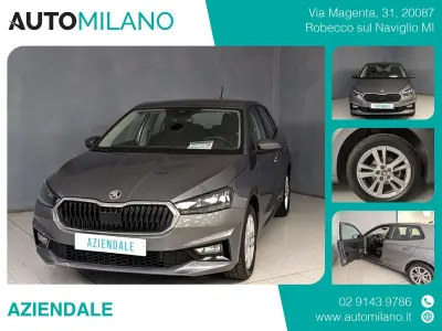 Usata Skoda Fabia