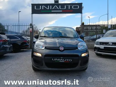 Usata Fiat Panda Lounge 69 CV (50 kW) 2019 Grigio Utilitaria