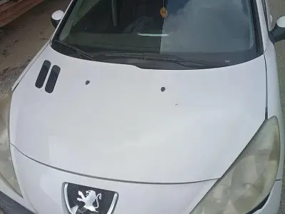 Usata Peugeot 206