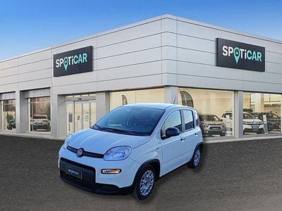 Usata Fiat Panda S 69 CV (50 kW) 2023 Bianco Utilitaria