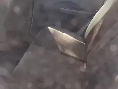 Usata Fiat Panda