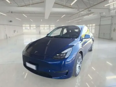 Usata Tesla Model Y