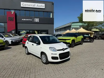 Nuova Fiat Panda Icon 65 CV (47 kW) 2026 Bianco Utilitaria