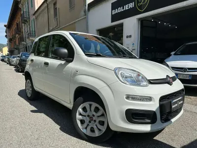 Usata Fiat Panda Easy 71 CV (52 kW) 2019 Bianco Utilitaria