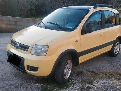 Usata Fiat Panda 4x4 2004 Giallo Utilitaria