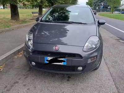 Usata Fiat Punto Easy 77 CV (56 kW) 2015 Grigio Utilitaria