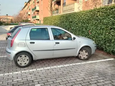 Usata Fiat Punto 2007 Grigio Utilitaria