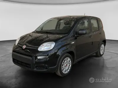 Usata Fiat Panda