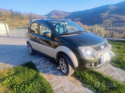 Usata Fiat Panda 4x4 Cross 95 CV (69 kW) 2010 Utilitaria