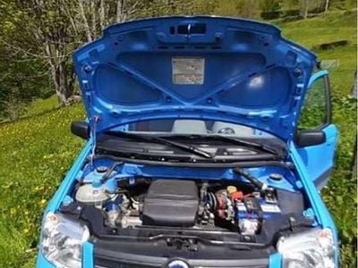 Usata Fiat Panda 4x4 Climbing 60 CV (44 kW) 2005 Utilitaria