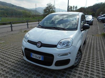 Usata Fiat Panda Easy 69 CV (50 kW) 2017 Bianco Utilitaria