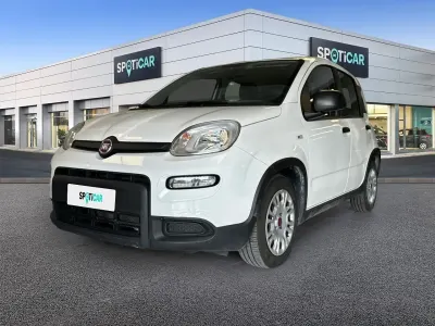 Usata Fiat Panda S 69 CV (50 kW) 2023 Bianco Utilitaria