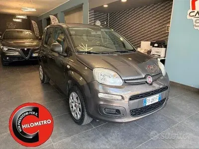 Usata Fiat Panda Easy 70 CV (51 kW) 2019 Grigio Utilitaria