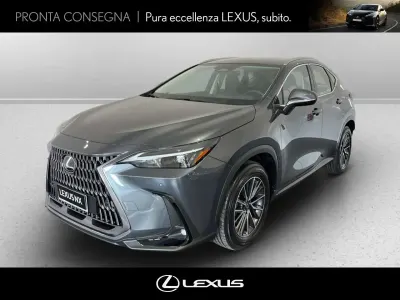 Nuova Lexus NX350h Business Edition 197 CV (144 kW) 2026 Sonic grey SUV
