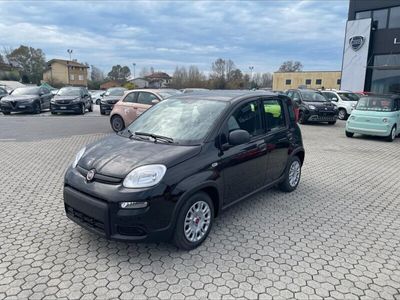 usata Fiat Panda 1.2 Active EasyPower nuova a Massarosa