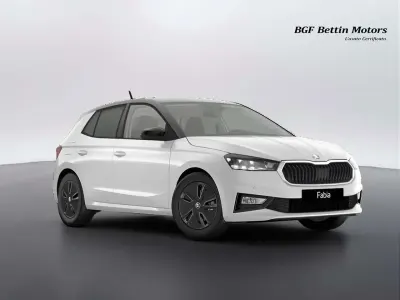 Usata Skoda Fabia