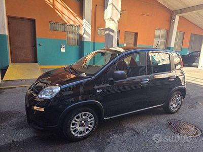 Usata Fiat Panda S 71 CV (52 kW) 2023 Nero Utilitaria