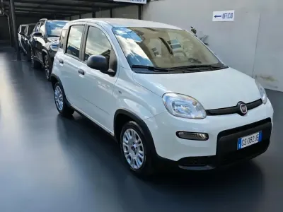 Usata Fiat Panda S 70 CV (51 kW) 2023 Bianco Utilitaria