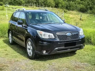Usata Subaru Forester Trend 175 CV (128 kW) 2014 Grigio SUV