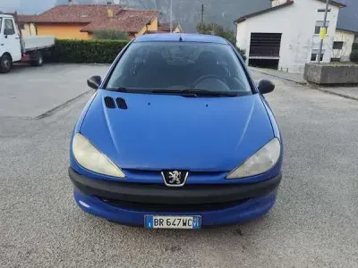 Usata Peugeot 206