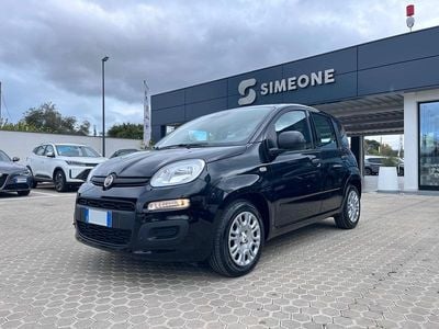 Usata Fiat Panda Icon 70 CV (51 kW) 2025 Nero Utilitaria
