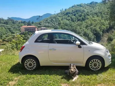 Usata Fiat 500 69 CV (50 kW) 2018 Bianco Berlina