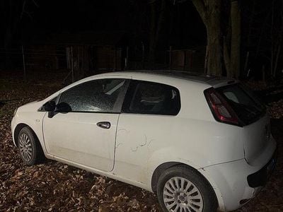 Usata Fiat Punto Evo 2009 Bianco Utilitaria
