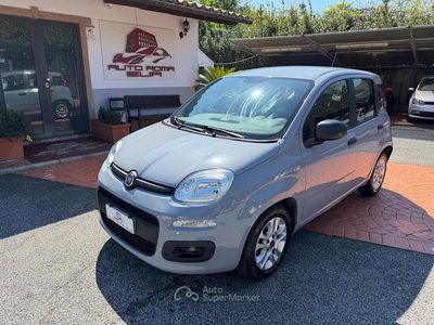 Usata Fiat Panda Easy 69 CV (50 kW) 2021 Gray Utilitaria